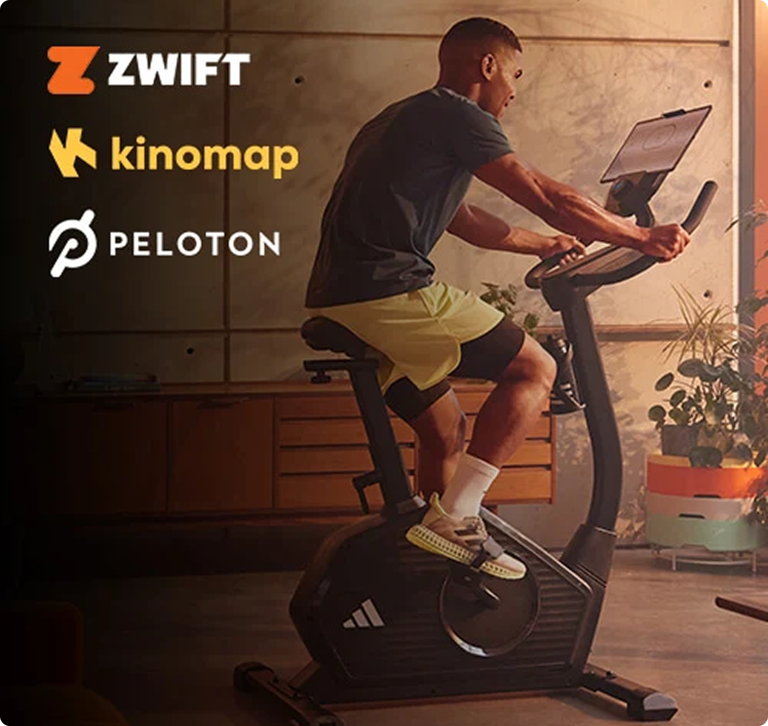 Enhance your Training Regime
